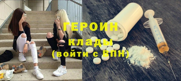 прущие грибы Гусев