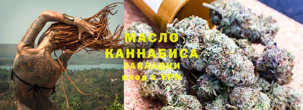прущие грибы Гусев