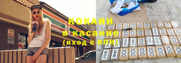 прущие грибы Гусев