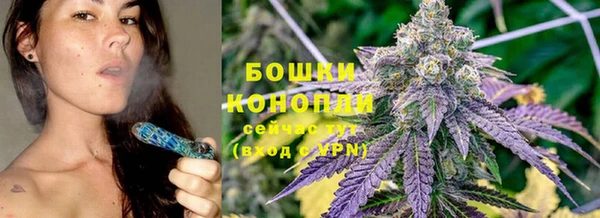 прущие грибы Гусев