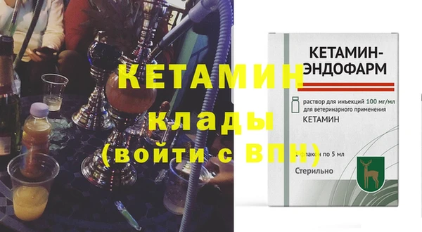 прущие грибы Гусев