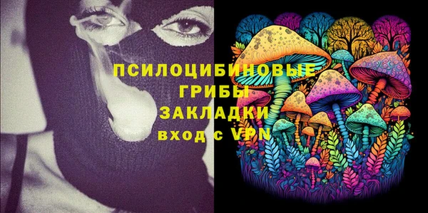 Альфа ПВП Нея