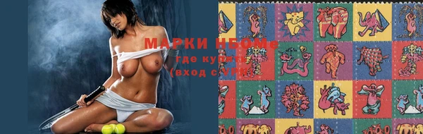 прущие грибы Гусев