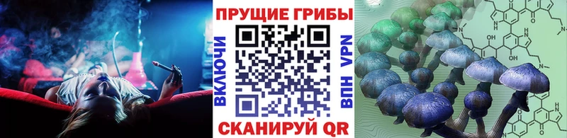 Псилоцибиновые грибы Psilocybine cubensis Назарово