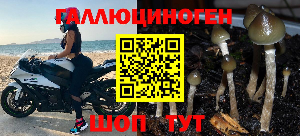 Псилоцибиновые грибы GOLDEN TEACHER  Назарово 